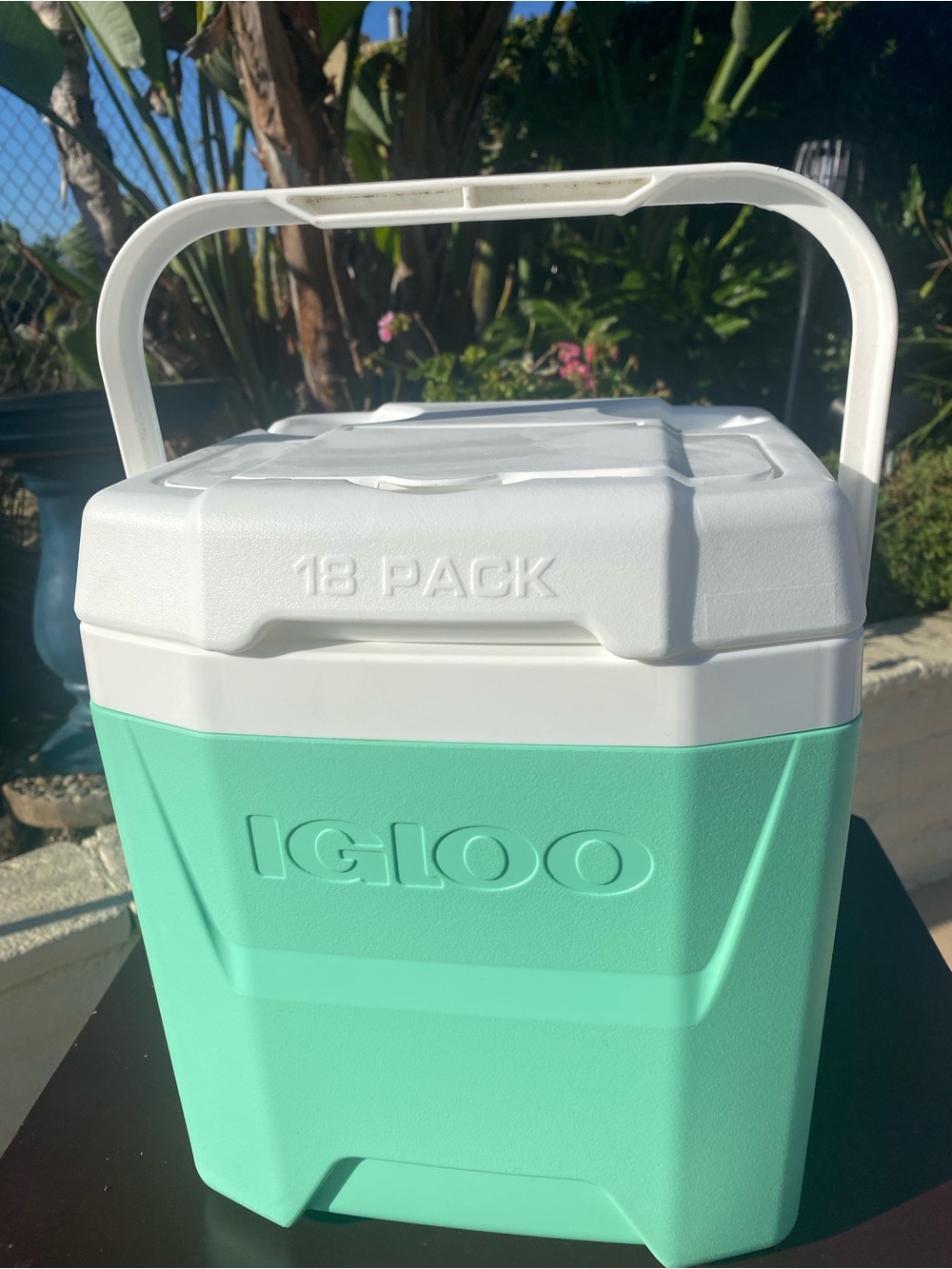 Igloo Mint Green and White 18-Pack Portable Cooler